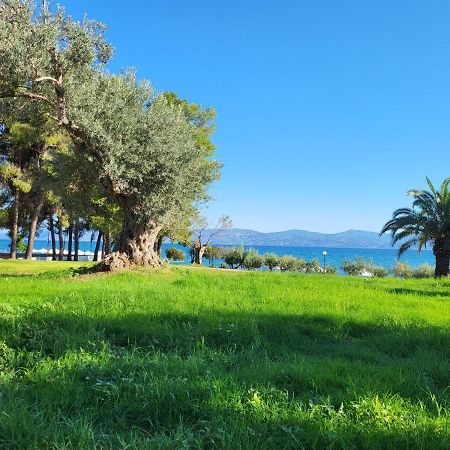 Holidays In Evia Beach Hotel (Adults Only) Erétria Exteriör bild