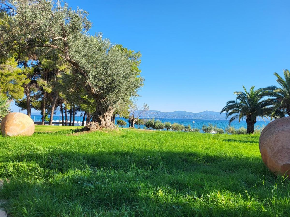 Holidays In Evia Beach Hotel (Adults Only) Erétria Exteriör bild