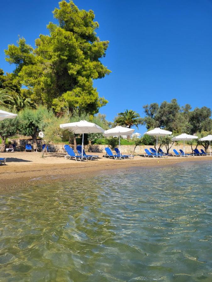 Holidays In Evia Beach Hotel (Adults Only) Erétria Exteriör bild
