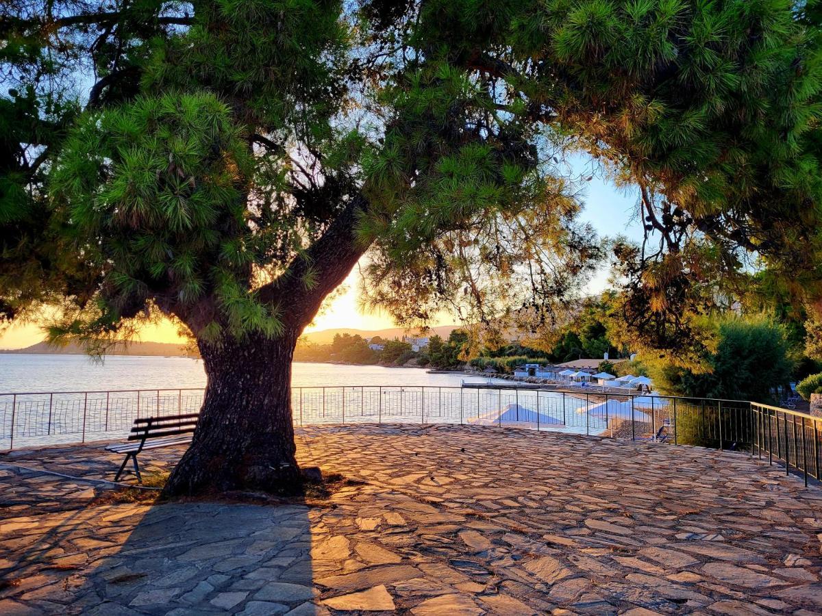 Holidays In Evia Beach Hotel (Adults Only) Erétria Exteriör bild